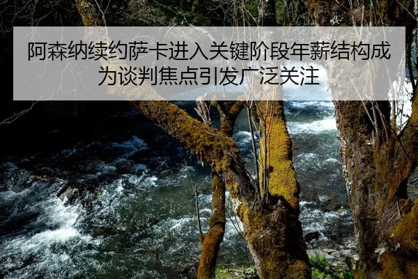 阿森纳续约萨卡进入关键阶段年薪结构成为谈判焦点引发广泛关注 | Kaiyun Sports