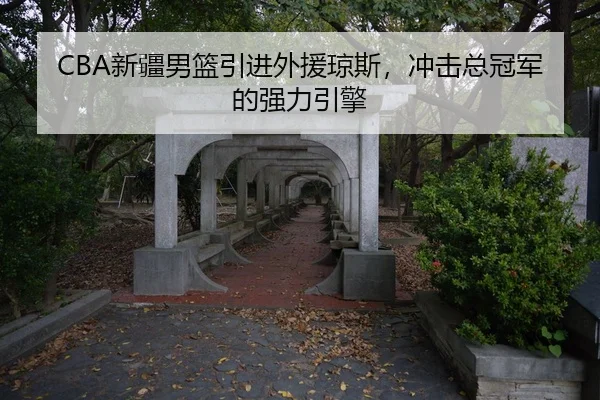 xin-jiang-nan-lan-yin-jin-wai-yuan-qiong-si-chong-ji-zong-guan-jun-de-qiang-li-yin-qing-2-932.jpg