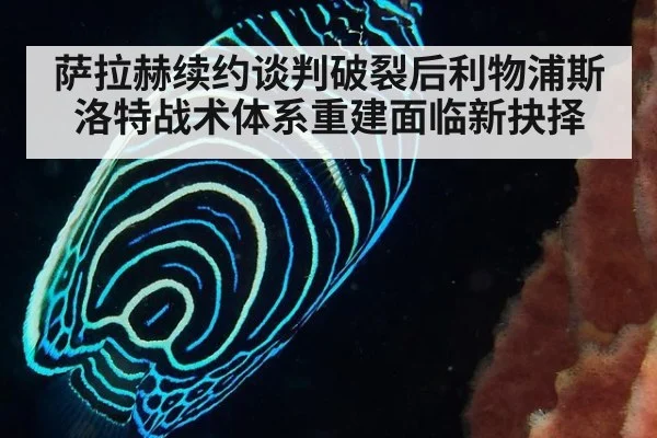 萨拉赫续约谈判破裂后利物浦斯洛特战术体系重建面临新抉择