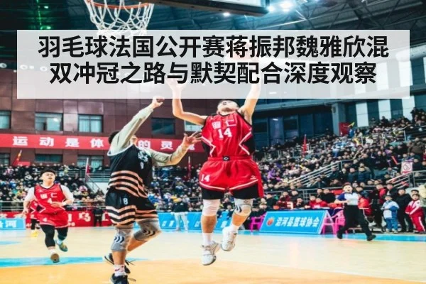羽毛球法国公开赛蒋振邦魏雅欣混双冲冠之路与默契配合深度观察