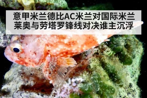 意甲米兰德比AC米兰对国际米兰莱奥与劳塔罗锋线对决谁主沉浮